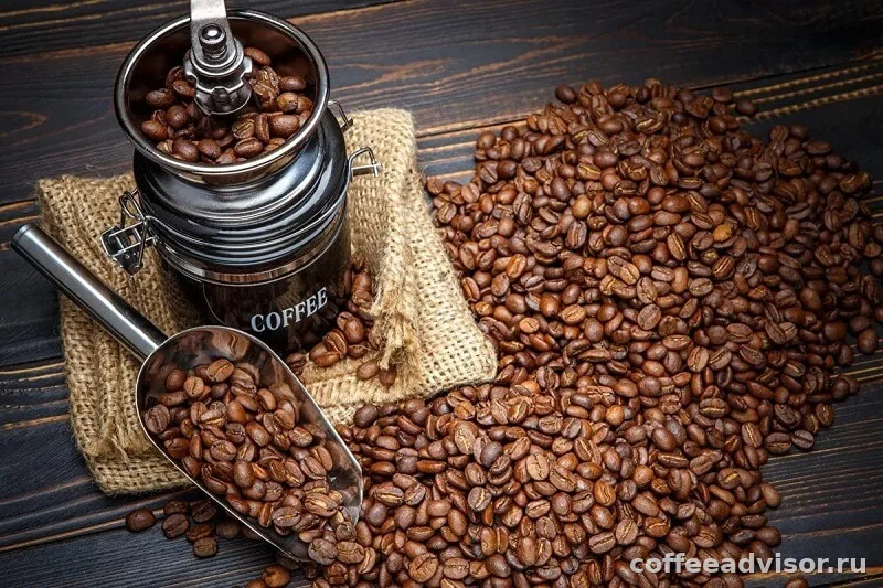 Как выбрать кофе в зернах для дома: понятный гид по арабике, робусте, обжарке и вкусу